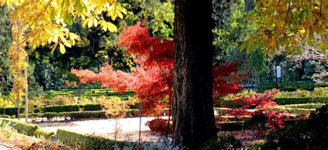 Los Mejores Jardines Nicos De Espa A Consumer