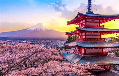 Mt. Fuji Cherry Blossom Tours - LIVE JAPAN