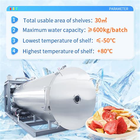 600kg Batch High Efficient Food Fruit And Vegetable Vacuum Freeze Dryer