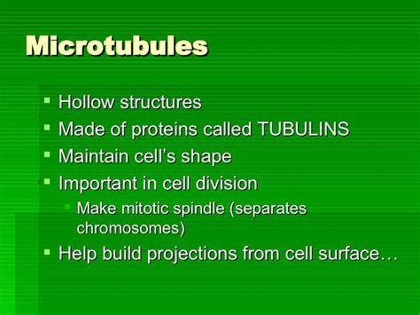 The Cell Factory