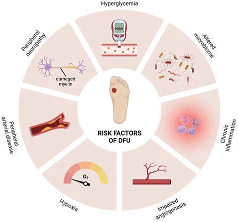 types  wound dressing  diabetic foot ulcer  lacey chandler blog
