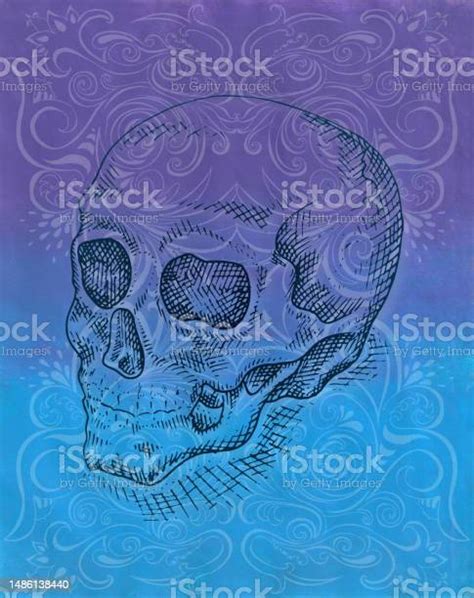 Day Of The Dead Stock Illustration Download Image Now Alchemy Anatomy Antique Istock