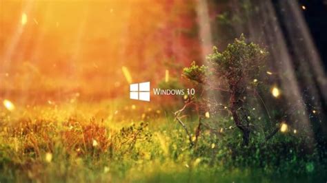 Windows 10 Nature Screensaver