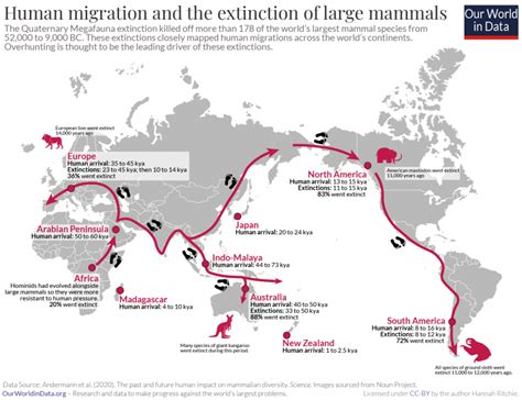 Did humans cause the Quaternary Megafauna Extinction? - Our World in Data