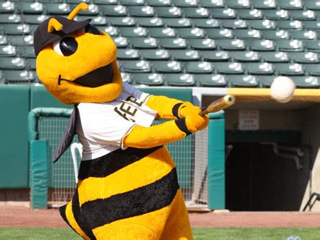 Salt Lake Bee's Discount Tickets & Promo Code - Coupons 4 Utah