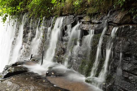 Waterfall at dam stock photo. Image of natural, leaf - 72022968