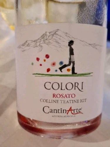 Cantin Arte Colori Rosato Vivino Us