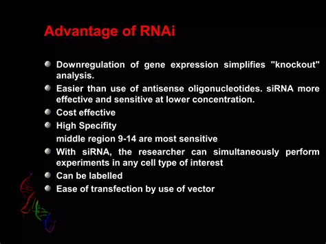 Rna Interfernce Ppt Ppt