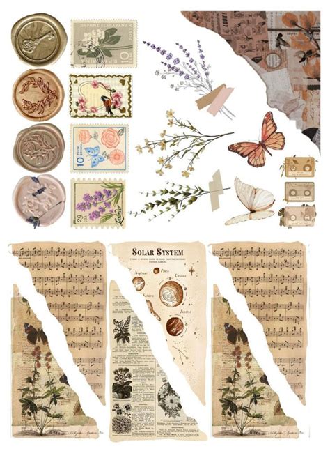 An Old Sheet Of Paper With Some Flowers And Butterflies On It Along