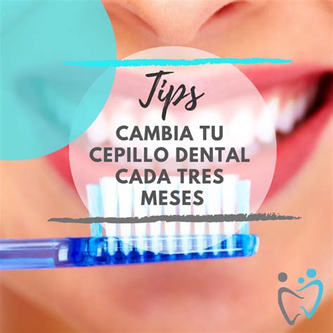 Cepillo Dental