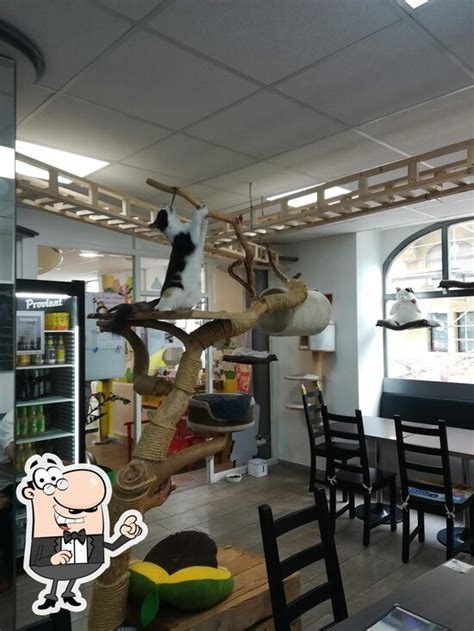 happy cats cafe trattoria cafe stuttgart restaurantbewertungen