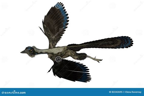 Vuelo Del Dinosaurio Del P Jaro Del Archaeopteryx D Rinden Stock De