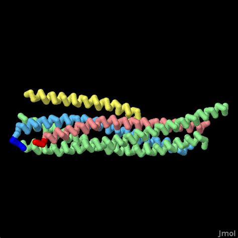 PDB 101 Molecule Of The Month SNARE Proteins