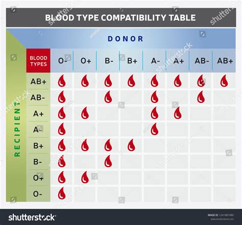 Donor Recipient Compatibility Images Stock Photos Vectors