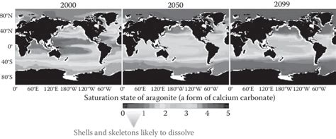colour gure   insert aragonite levels predicted  drop