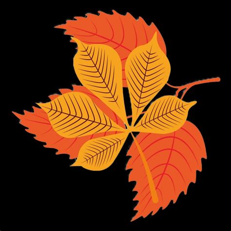 Autumn Leaves Draw Transparent Png Szi Falevelek Tl Tsz H Tt R