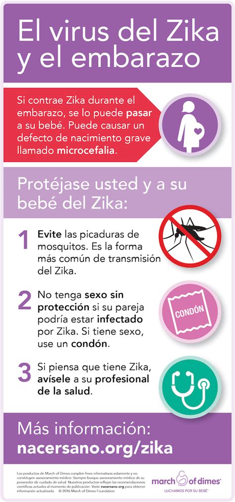 Infografía Sobre El Virus Del Zika Y El Embarazo Nacersano