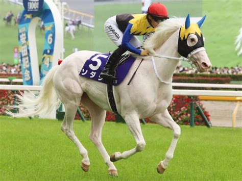 ホワイトデーと言えば白毛馬 シラユキヒメから始まる一族はソダシ、アマンテビアンコまで ライブドアニュース