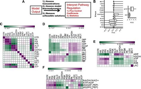 Figures And Data In Quantitative Determinants Of Aerobic Glycolysis