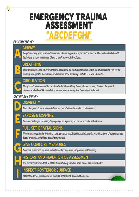 Nursing Health Assessment Mnemonics And Tips Pdf