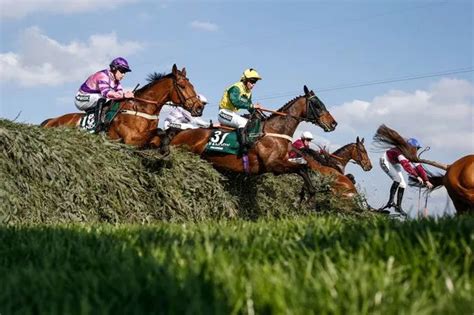 Grand National Final 40 Runners And Latest Odds On Tiger Rolll