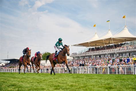 Goodwood Racecourse | Stadium and arena seating | The BOX Seat