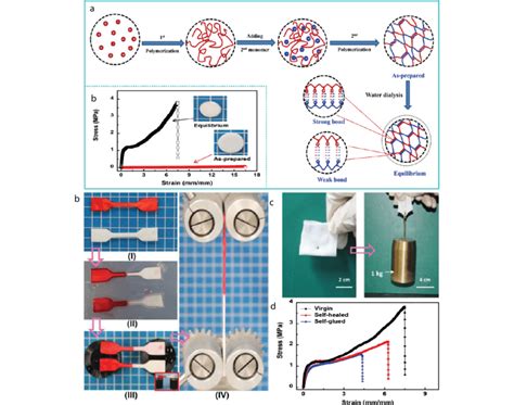 A Schematics Of Preparation Of Pic Hydrogels B Self Healing