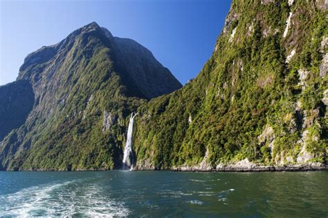 Ab Queenstown Milford Sound Tagesausflug Mit Mittagessen Getyourguide