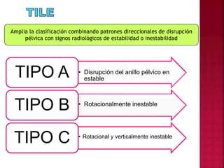 Fracturas Del Anillo P Lvico Ppt