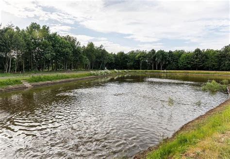 Photos Of Beech Tree Lakes Lodges Doncaster Hatfield Woodhouse