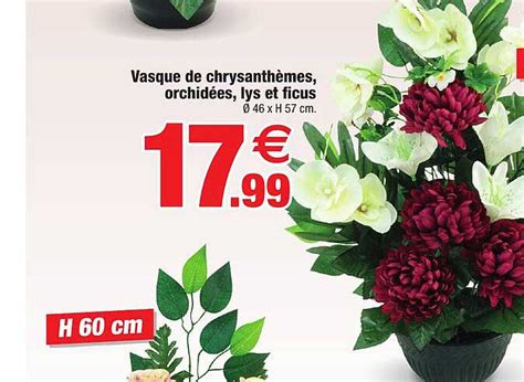 Promo Vasque De Chrysanthèmes Orchidées Lys Et Ficus chez Bazarland