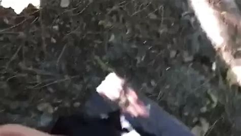 Prune Porn Videos XHamster