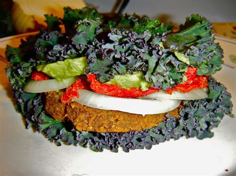 2 Gays 30 Days Raw Vegan Burgers On A Kale Bun Complete Protein Original Recipe