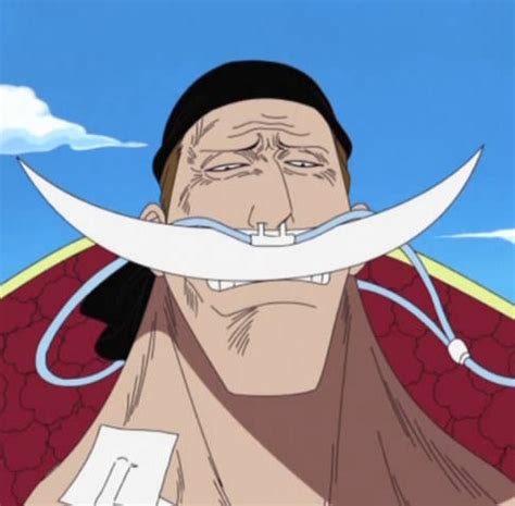 Whitebeard died at what age? - The One Piece Trivia Quiz - Fanpop