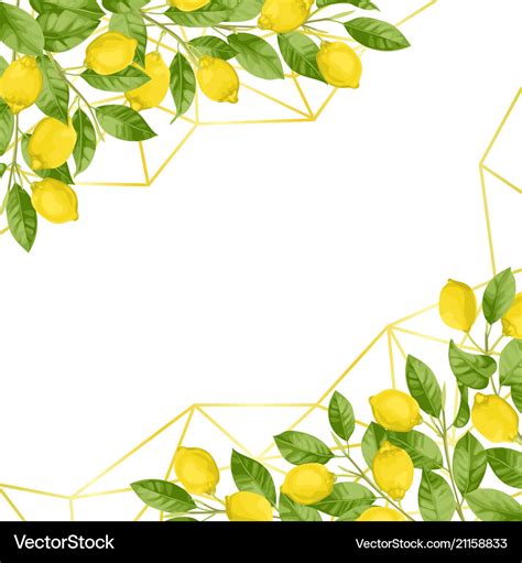 Luxury Lemon Brunches Background Royalty Free Vector Image