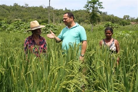 Ruraltins Ministra Palestra Sobre A Import Ncia Da Extens O Rural Na