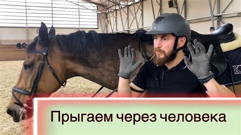 Как приучить лошадь к страшным барьерам / ПРЫГАЕМ ЧЕРЕЗ ЧЕЛОВЕКА - YouTube
