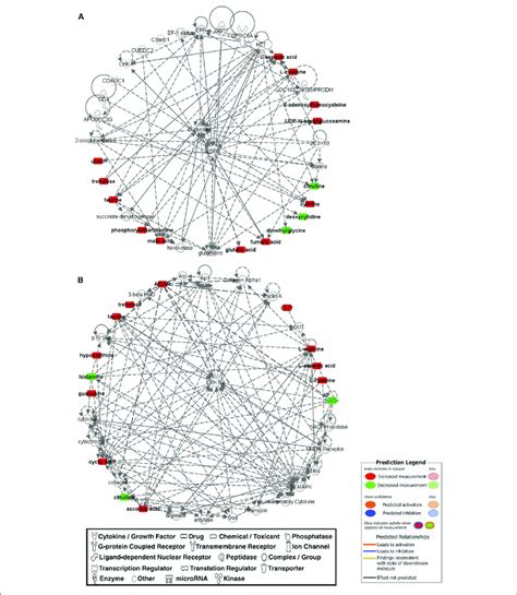 The Top Two Networks Ab Built With Ipa Program From Metabolomics Download Scientific