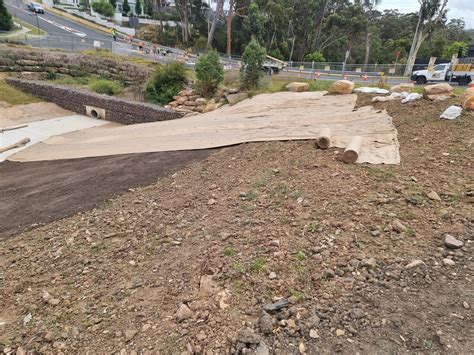 Kellyville Stormwater Management Planting And Bush Regeneration