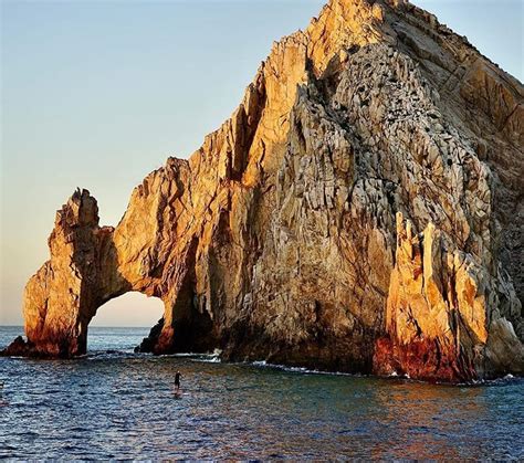 The Arch Of Cabo San Lucas Pelican Cabo