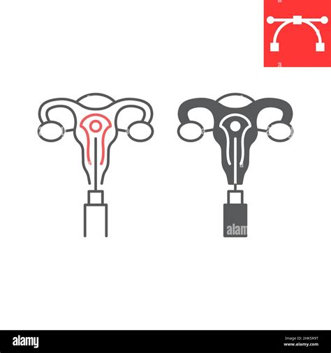 Embryo Transfer Line And Glyph Icon Pregnancy And Ovary Uterus Vector