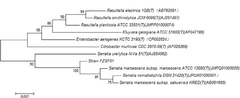 Figure 1 From Enhanced Alkaline Catalase Production By Serratia