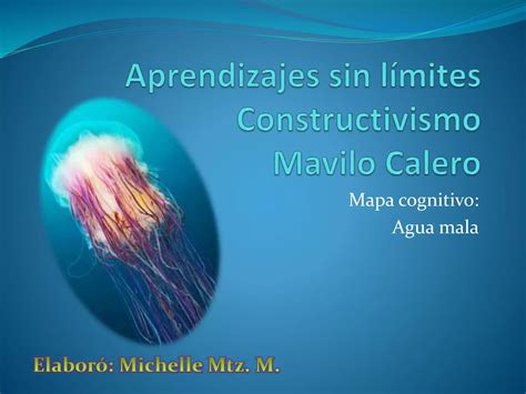 Mapa Cognitivo Agua Mala Michelle Mtz M Ppt