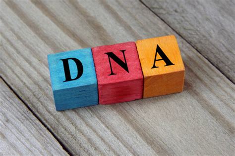 Royalty Free Dna Code Letters Pictures Images And Stock Photos Istock