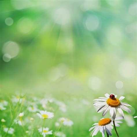 imagenes bonitas para fondo de pantalla