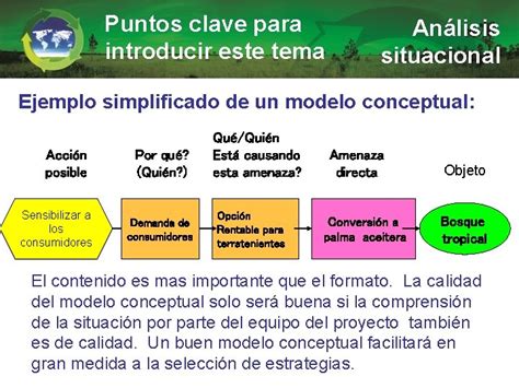 CursoTaller Capacitacin Para Coaches De Conservacin Anlisis Situacional