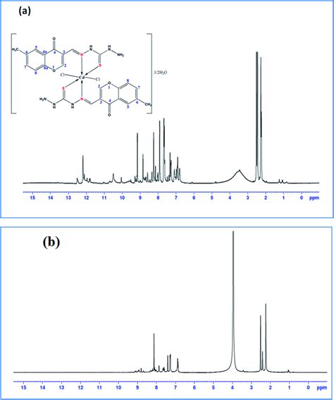 ¹h Nmr Spectra Of Cdii Complex In A Dmso D6 And B D2o Download