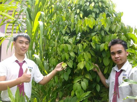 Photos Pusat Sumber Sekolah Smk Batu Lintang