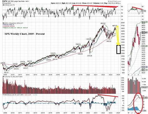 The Logical Investor Newsletter August Logical Investor