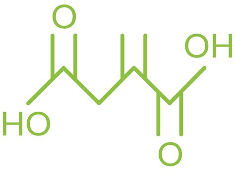 ITACONIC ACID - UKBioChem10